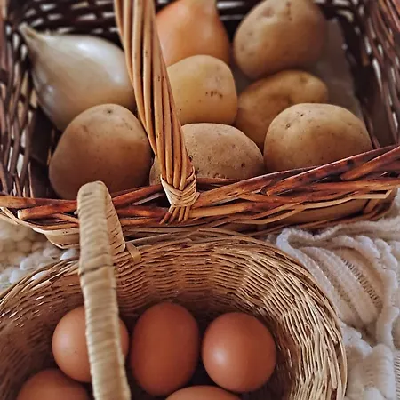 דירה Soniando En Guara