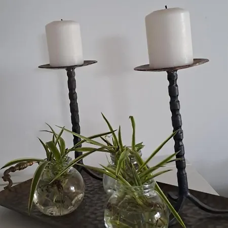 Soniando En Guara Buera