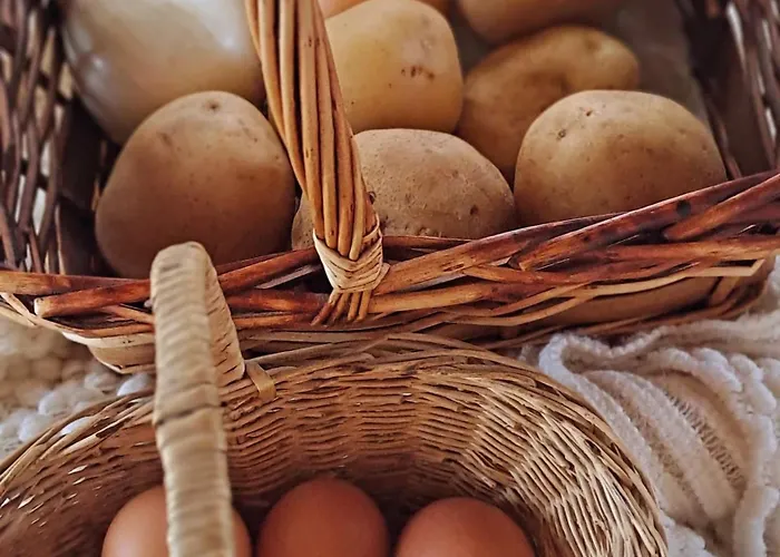 Apartment Soniando En Guara